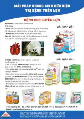Giải pháp kháng sinh hữu hiệu trị bệnh hen suyễn lợn